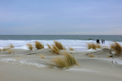 Strandspaziergang im Winter