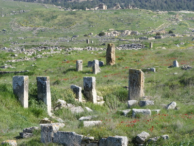 Hierapolis im Frühjahr