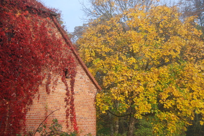 Herbststimmung