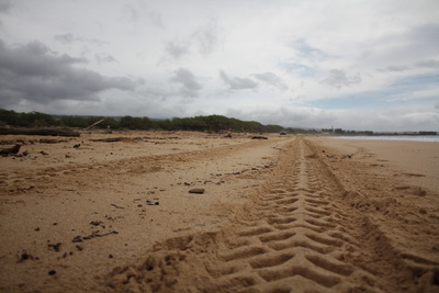 Autospuren im Sand