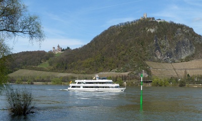 Frühling am "neuen" Drachenfels/Rhein