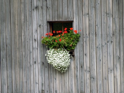 Fenster im Holzstall