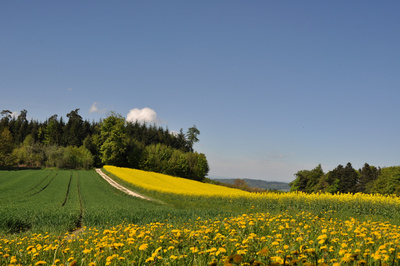 Maibummel im Schweizer Mittelland