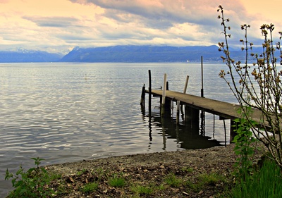 Seeufer bei Morges  1