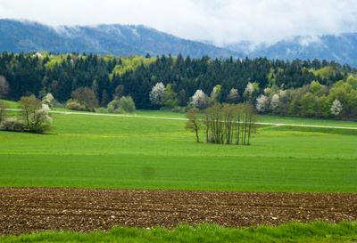 Frühling auf der Schwäbischen Alb