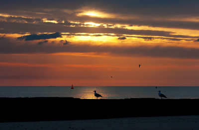Abendspaziergang Abendspaziergang