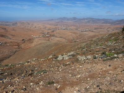 Trockenes Fuerteventura