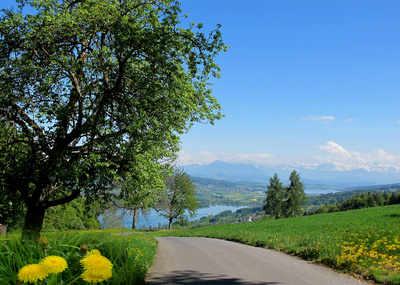 Frühling in Gelb und Grün