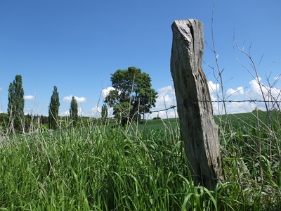 fence  -  Weidezaun