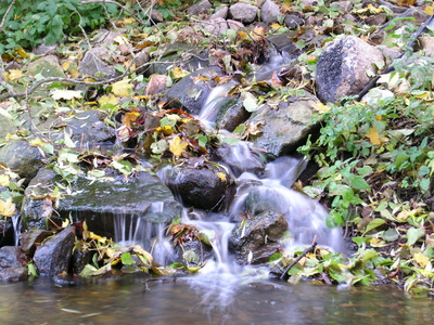 Wasserlauf