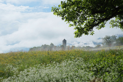 Hohenthurn im Morgennebel