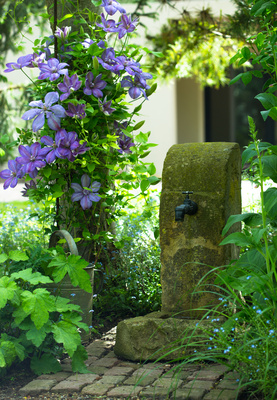 Garten-Romantik blau-grün