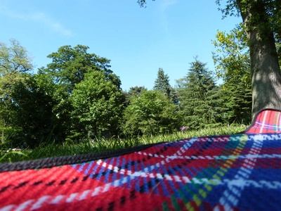Picknick im Park