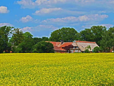 Bauernhof in Immer
