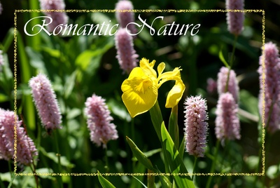 Romantic Nature