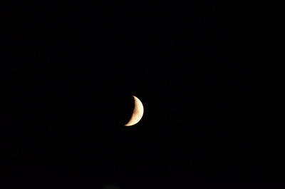 auf dem mond da blühen keine rosen