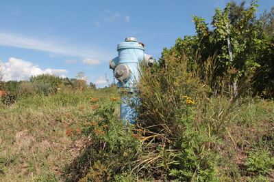 Hydrant in der Landschaft