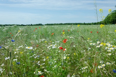 Naturbelassen