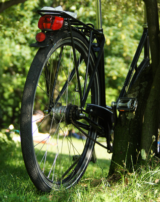 Fahrrad am Baum