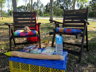 Picknick für den Bären