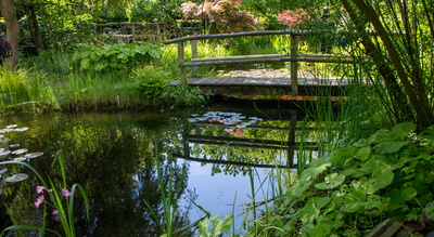 Gartentraum mit Teich und Brücke