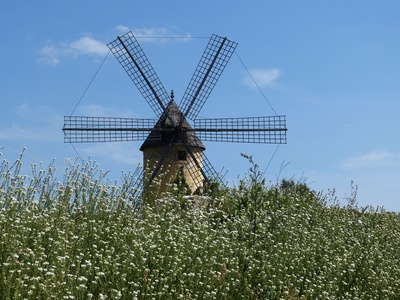 Mühle in Blütenwiese