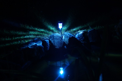 Lampenlicht spielgelt sich im Wasser