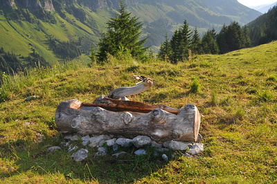 Hölzerner Brunnen auf der Alp