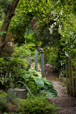 Kostenloses Foto: Garten-Eingang - pixelio.de