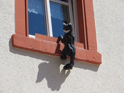 Katze an der Hauswand