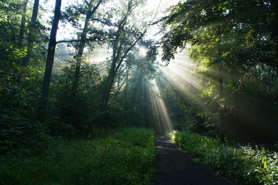 Sonnenaufgang im Morgendunst Sonnenaufgang im Morgendunst