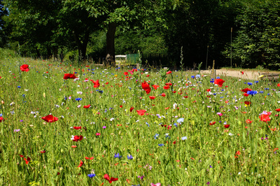 Allerlei Buntes Allerlei Buntes