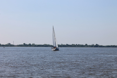 segeln auf der Elbe