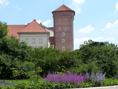 Krakau: Wawel 1
