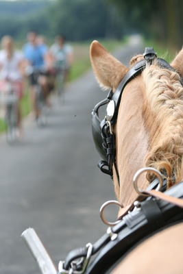 Kutsche und Radfahrer