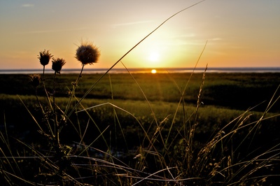 Sonnenuntergang auf Schiermonnikoog