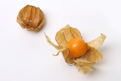 Physalis