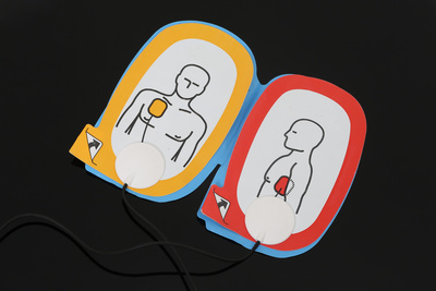 Defibrillator paddles