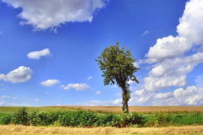 Das war ein Sommer!