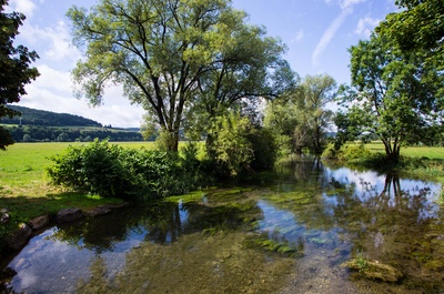 Donau-Nebenfluss bei Tuttlingen 1