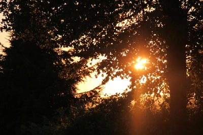 Sonnenuntergang am Rennsteig