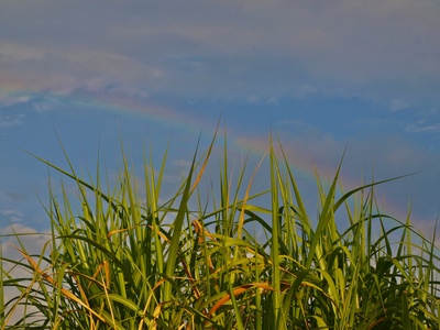 Sonne-Wolken-Regenbogen