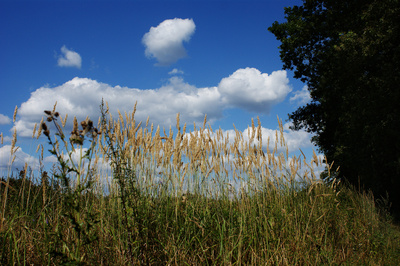 Sommertag Sommertag