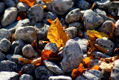 Autumn Rocks