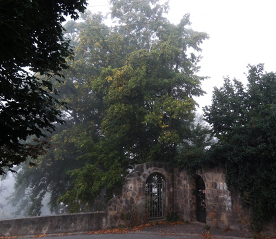 Nebel in Dresden-Loschwitz