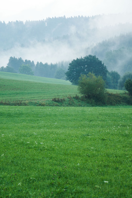 Herbstnebel im Wiesental mit Wald 03