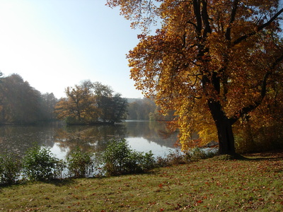 Herbst im Schloßpark in Greiz