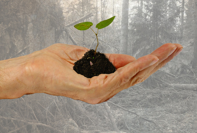 Natur in deiner Hand Natur in deiner Hand