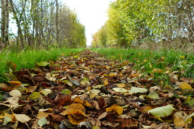 Herbstweg