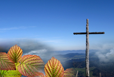 Herbstnebel steigt auf